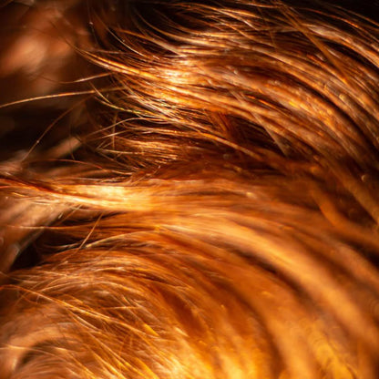Super Nutrient Shampoo